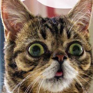 Meet your Posher, Tunde